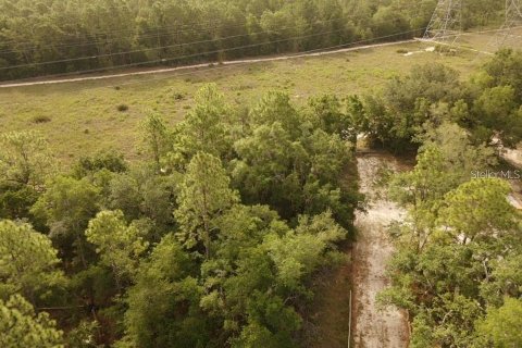Land in Brooksville, Florida № 2195097 - photo 5