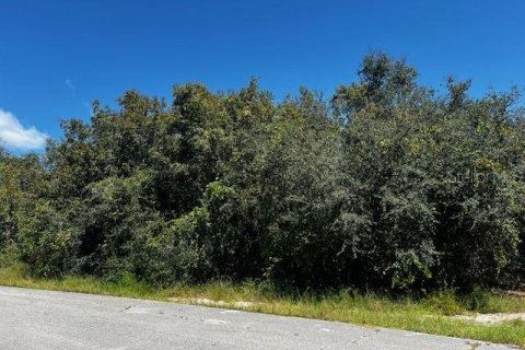 Land in Poinciana, Florida № 2104124 - photo 2
