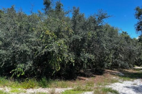 Land in Poinciana, Florida № 2104124 - photo 3