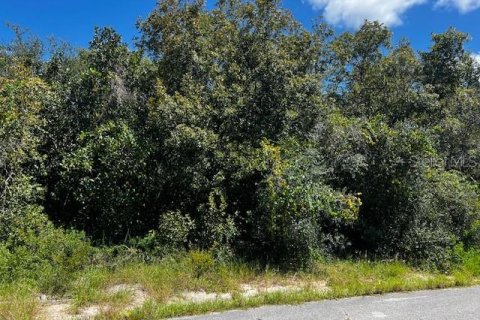 Land in Poinciana, Florida № 2104124 - photo 4