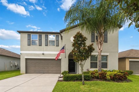 Villa ou maison à Apollo Beach, Floride 6 chambres, 312.34 m2 № 2383509