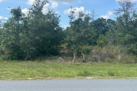 Land in Ocala, Florida № 1780702 - photo 3