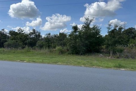 Land in Ocala, Florida № 1780702 - photo 6