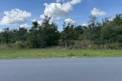 Land in Ocala, Florida № 1780702 - photo 4