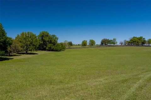 Land in Ocala, Florida № 1584460 - photo 7