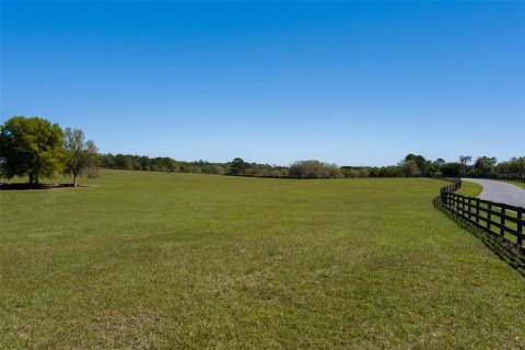 Land in Ocala, Florida № 1584460 - photo 6