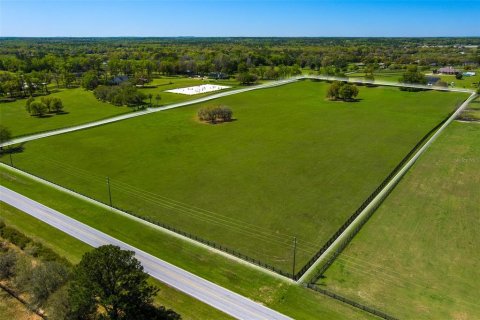 Land in Ocala, Florida № 1584460 - photo 1