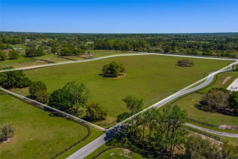 Land in Ocala, Florida № 1584460 - photo 8