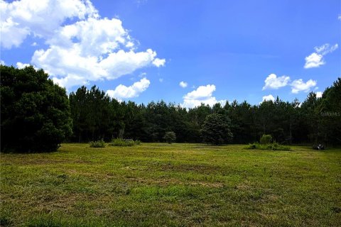 Terrain à vendre à White Springs, Floride № 2229513 - photo 4