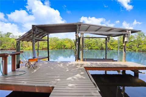 House in Ruskin, Florida 3 bedrooms, 196.67 sq.m. № 1654100 - photo 11