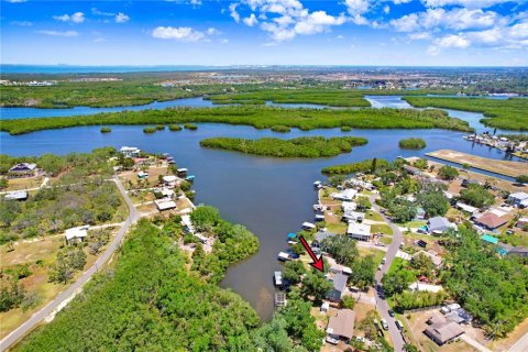 House in Ruskin, Florida 3 bedrooms, 196.67 sq.m. № 1654100 - photo 9