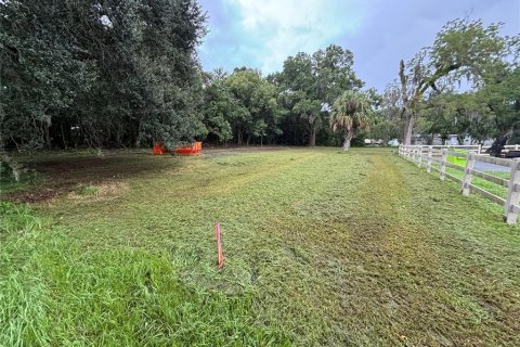 Terrain à louer à Anthony, Floride № 1313375 - photo 7