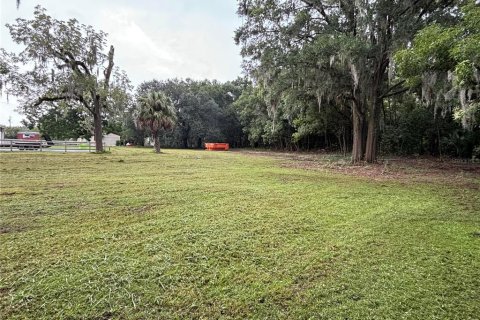 Terrain à louer à Anthony, Floride № 1313375 - photo 5