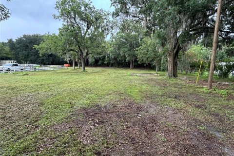 Terrain à louer à Anthony, Floride № 1313375 - photo 9