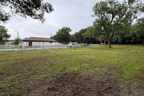 Terrain à louer à Anthony, Floride № 1313375 - photo 3