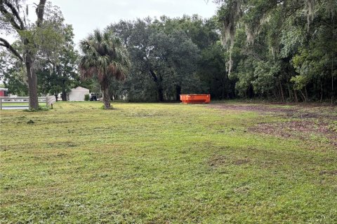 Terrain à louer à Anthony, Floride № 1313375 - photo 6
