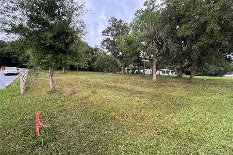 Terrain à louer à Anthony, Floride № 1313375 - photo 8