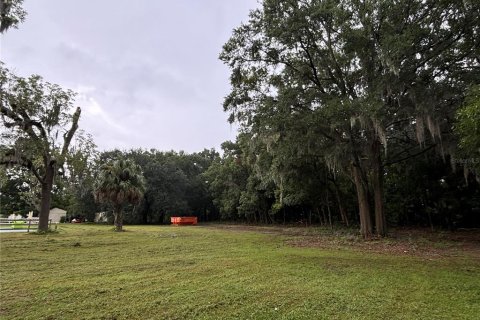 Terrain à louer à Anthony, Floride № 1313375 - photo 4