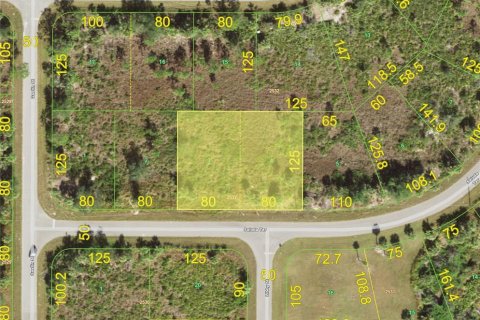 Land in Port Charlotte, Florida № 2239917