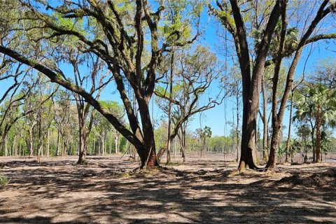 Terrain à vendre à Micanopy, Floride № 1421168 - photo 6