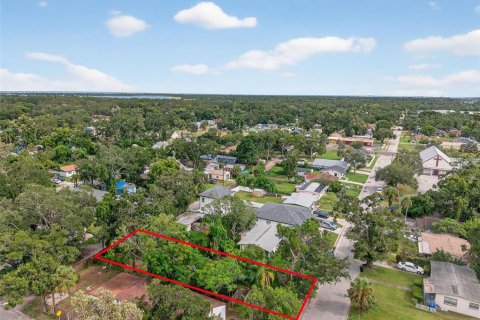 Land in Saint Petersburg, Florida № 1902290 - photo 6