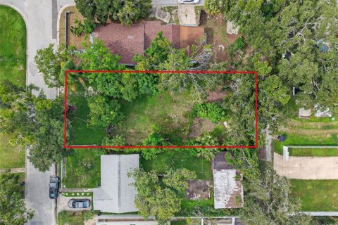 Land in Saint Petersburg, Florida № 1902290 - photo 8