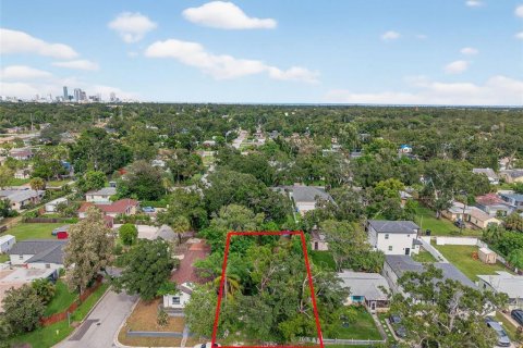 Land in Saint Petersburg, Florida № 1902290 - photo 7