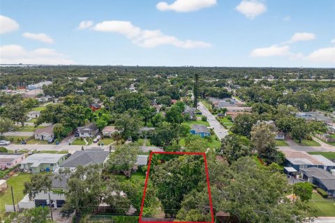 Land in Saint Petersburg, Florida № 1902290 - photo 4