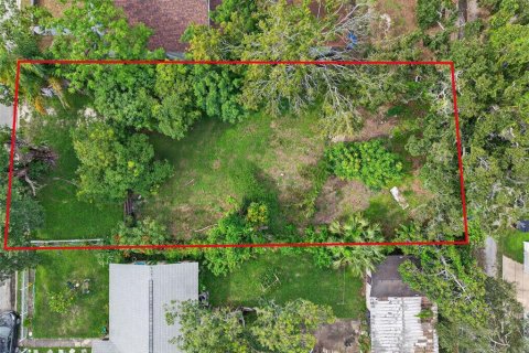Land in Saint Petersburg, Florida № 1902290 - photo 10