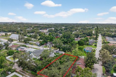 Land in Saint Petersburg, Florida № 1902290 - photo 5