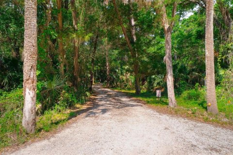 Terrain à vendre à Jacksonville, Floride № 2112621 - photo 11