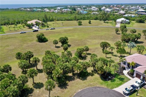 Land in Punta Gorda, Florida № 2159672 - photo 6