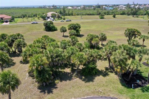 Land in Punta Gorda, Florida № 2159672 - photo 2