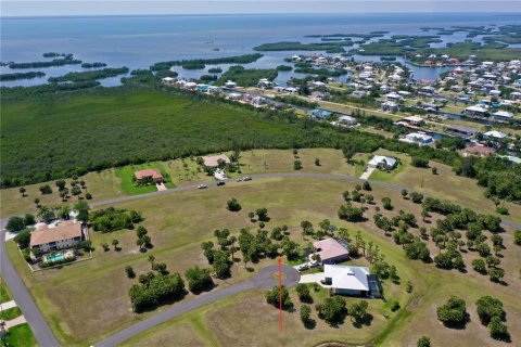 Land in Punta Gorda, Florida № 2159672 - photo 4