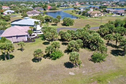 Land in Punta Gorda, Florida № 2159672 - photo 15