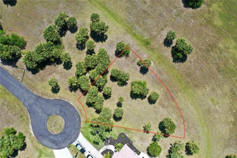 Land in Punta Gorda, Florida № 2159672 - photo 5