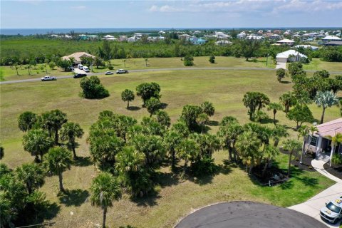 Land in Punta Gorda, Florida № 2159672 - photo 19