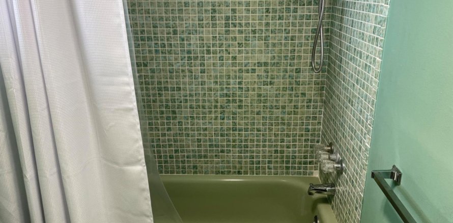 Condo à Palm Springs, Floride, 1 chambre № 993957