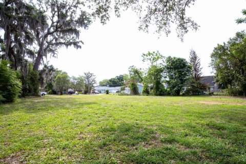 Terreno en venta en Orlando, Florida № 2099959 - foto 11