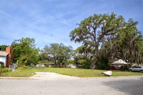 Terreno en venta en Orlando, Florida № 2099959 - foto 7