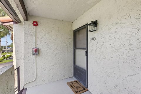 Condo in Palm Harbor, Florida, 2 bedrooms  № 1854577 - photo 2