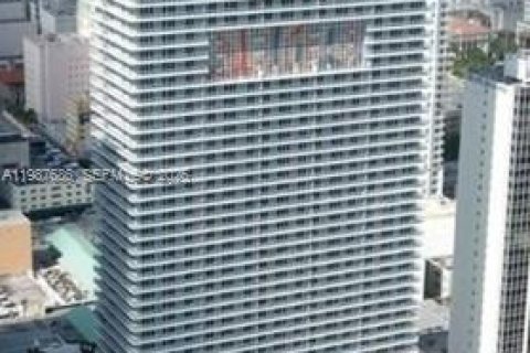 Studio in the Condo in Miami, Florida  № 2053033