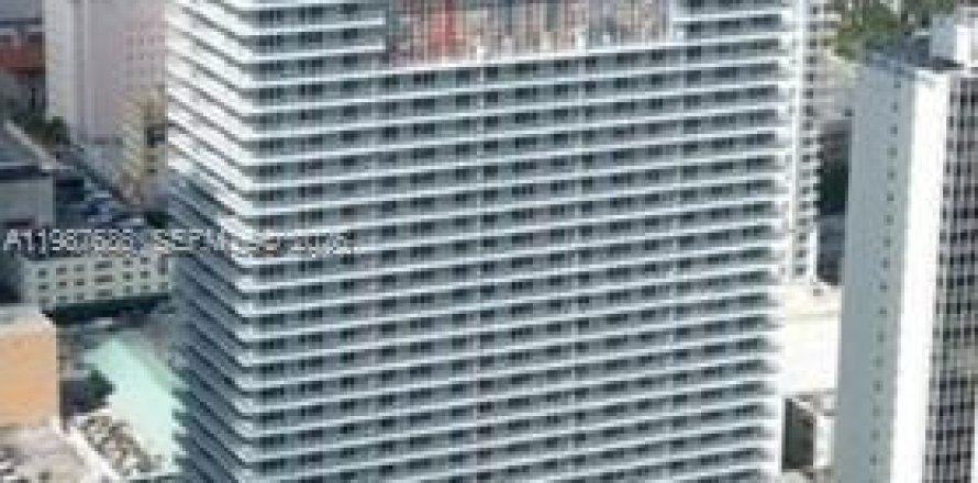 Studio in the Condo in Miami, Florida  № 2053033