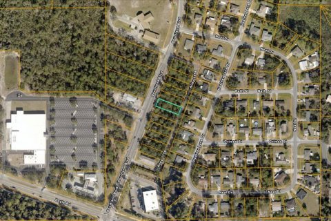 Immobilier commercial à vendre à Deltona, Floride № 2395605 - photo 3