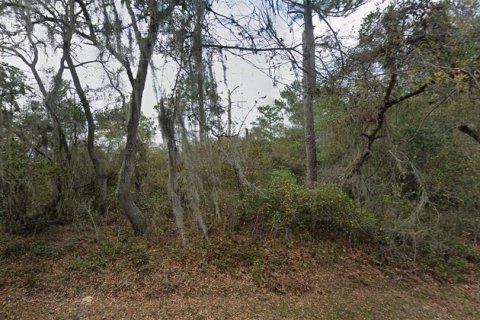 Immobilier commercial à vendre à Deltona, Floride № 2395605 - photo 4