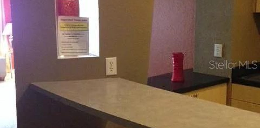 Condo à Tampa, Floride, 1 chambre  № 2096053