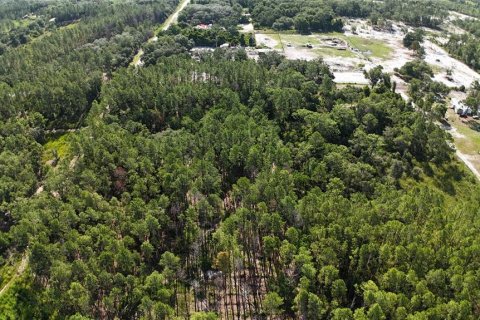 Terrain à vendre à Dunnellon, Floride № 2161321 - photo 5