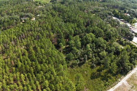 Terrain à vendre à Dunnellon, Floride № 2161321 - photo 6