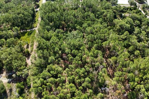 Terrain à Dunnellon, Floride № 2161321