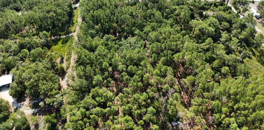 Terrain à Dunnellon, Floride № 2161321